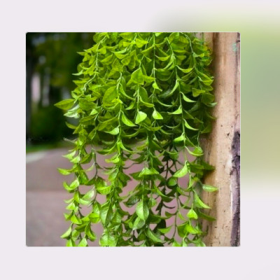 Cụm lá rủ giả, dây leo trang trí, cụm lá treo tường trang trí ban công nhà cửa, nhà hàng, quán ăn