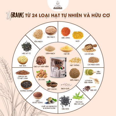Thùng 12 Hộp Sữa Hạt Từ Gạo Lứt Hữu Cơ Nảy Mầm 24Grains Vị Socola Tự Nhiên Cho Trẻ Từ 3 Tuổi & Cả Gia Đình