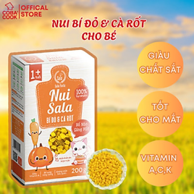 Nui Hữu Cơ Bí Đỏ Cà Rốt Ăn Dặm Cho Bé Tốt Cho Mắt Giàu Vi Chất Cho Bé Cầm Nắm Hộp 200gr