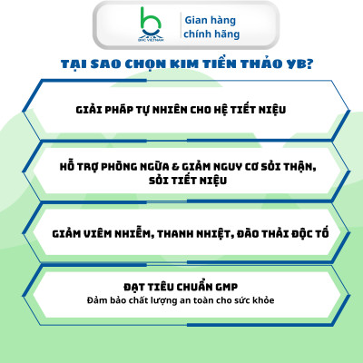 Viên Uống Kim Tiền Thảo YB Hỗ Trợ Lợi Tiểu, Giảm Tiểu Rắt, Tiểu Buốt - Hộp 30 viên