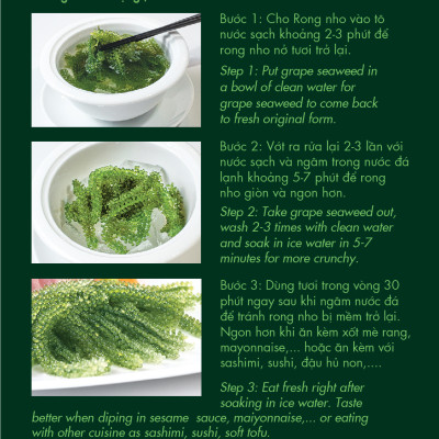 RONG NHO TÁCH NƯỚC HẢI NAM OKINAWA