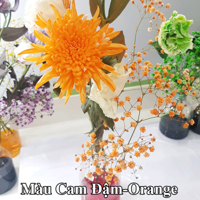 Nước Màu Nhuộm Hoa Tươi Màu Cam Israel (Chai 1 Lít) Color Sodium For Fresh Flowers