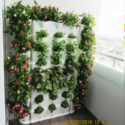 Tự Trồng Rau Đứng Minigarden tại nhà kèm Hệ Thống Tưới Nhỏ Giọt Bán Tự Động 2L/h + Bình Châm Phân Bón cho rau chứa 8 lít và  khung Module Vertical nhập khẩu Châu Âu (Không Cần Thay Đất cho Rau)