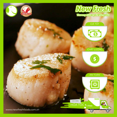 [GIAO NHANH HCM] Cồi Sò Điệp Việt Nam - Túi 500Gr (40-60 Con)