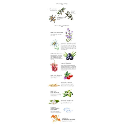 Kem nền kết hợp cọ trang điểm dưỡng da - naturaglacé Nu Attract Foundation SPF40 PA +++ , 3.5g