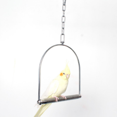 1 XÍCH ĐU INOX CAO CẤP 304 siêu bền dùng cho mọi dòng vẹt đứng (cây ngang nhám có thể mài móng)