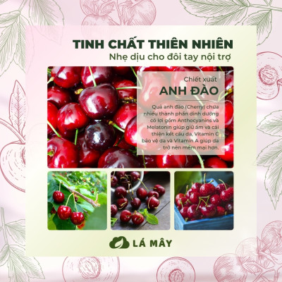 NƯỚC RỬA CHÉN BÁT (KHÔNG ĐẬM ĐẶC) TÍA TÔ & ANH ĐÀO LÁ MÂY 500 mL