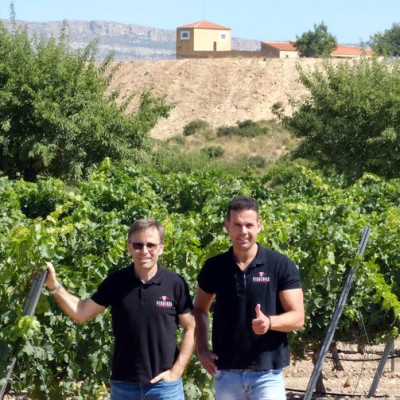 Rượu vang Organic Piqueras VS Monastrell & Garnacha Tintorera (Spain) kèm túi hộp,đồ khui