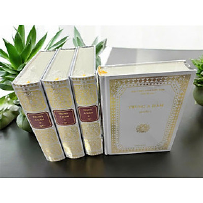 Sách - Kinh Trung A Hàm - A-Hàm Hán Tạng(Bộ 4 quyển, Nguyên bản Đại Tạng Kinh Việt Nam)