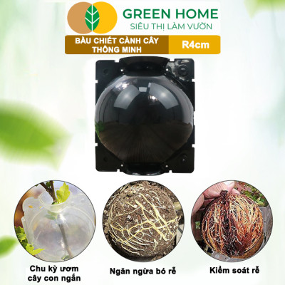 Bầu Chiết Cành GreenHome, R4cm(1 Thùng 200 CÁI), Tăng Khả Năng Ra Rễ, Phù Hợp Với Hoa Hồng, Bonsai
