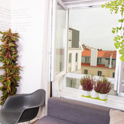 Chậu Cây Tự Dưỡng Thông Minh nhập khẩu Bồ Đào Nha giúp cây trồng tự động tưới, tự bón phân và dành cho người bận rộn nhưng yêu thiên nhiên