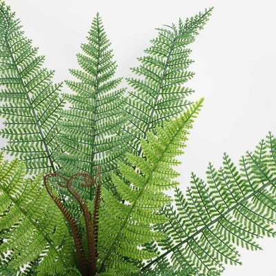 Cây dương xỉ giả giống thật 99% – Đường kính 40 đến 50 cm – Cây dương sỉ giả, hoa lụa decor trang trí rẻ, bền, đẹp.