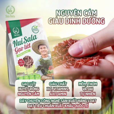 Nui Gạo Lức Hữu Cơ Hình Xoắn Thành Phần Rau Củ Ăn Kiêng Giảm Cân Tốt Cho Sức Khỏe