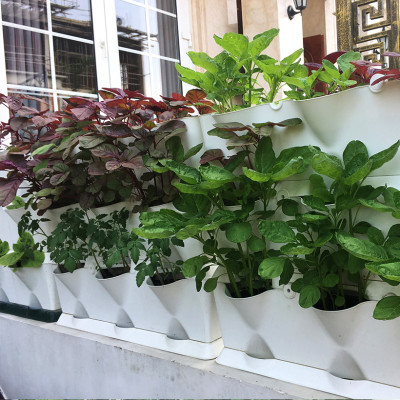 Chậu Trồng Rau Đứng Nhập Khẩu (Combo 4 bộ) kèm bộ tự Tưới nhỏ giọt và tự bón phân cho rau tự động