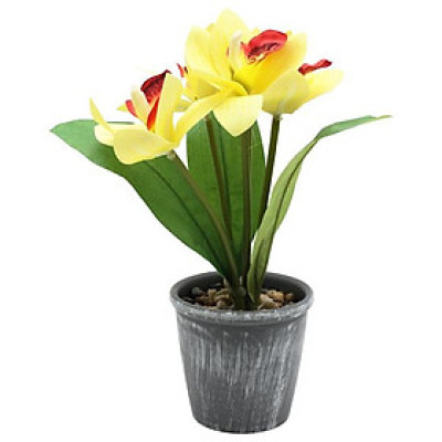 Chậu Cây Hoa Nhựa Trang Trí - WanLongDa 769-10