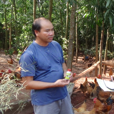 Chế phẩm sinh học VƯỜN SINH THÁI chăn nuôi Vỗ Béo không Mùi Hôi - Vật nuôi chắc thịt lớn nhanh ít bệnh dịch - Thức ăn bổ sung cho lợn gà chó mèo chim