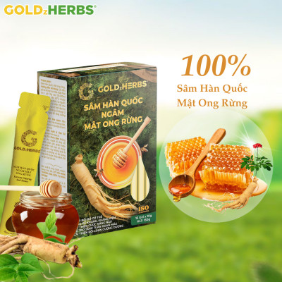 Sâm Hàn Quốc ngâm mật ong rừng GoldzHerbs, 100% mật ong nguyên chất – Hũ 300g/ Hộp 15 gói