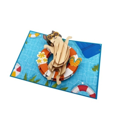 Thiệp 3D Mèo Dễ Thương Đi Bơi – Thiệp Pop Up Hài Hước, Độc Đáo, Tặng Sinh Nhật, Bạn Bè, Trẻ Em, A44
