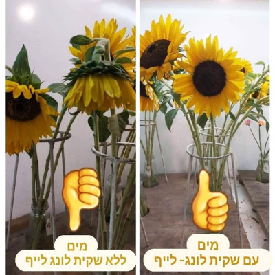 Gói Bột Cắm Hoa Tươi Nhập Khẩu Israel hiệu Longlife 5gr x 1 bình hoa tươi (tổng 30 goi x 30 bình hoa) giữ hoa tươi lâu gấp 2 lần và 14 ngày không thay nước mới