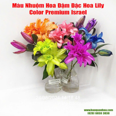 Thuốc Nước Nhuộm Hoa Lily  (chai đậm đặc 100ml pha 1L nước màu hoàn chỉnh) công nghệ Israel nhuộm hoa lily cánh mỏng mà không bị cháy lá hoa