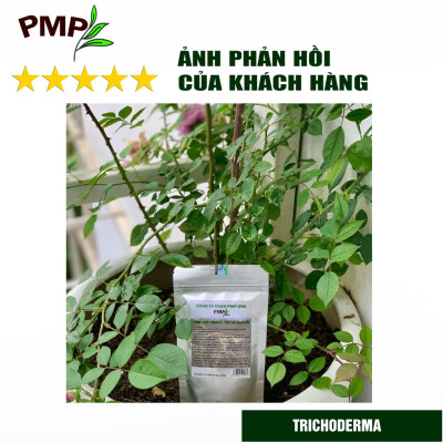 Nấm Trichoderma PMP Nấm Đối Kháng Phòng Thối Rễ, Ủ Phân Hữu Cơ Từ Rác Thải Hữu Cơ 200g