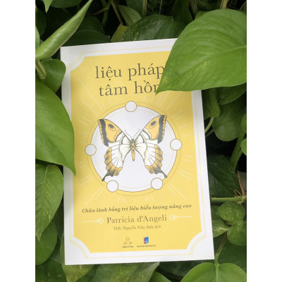 Liệu Pháp Tâm Hồn - Chữa Lành Bằng Trị Liệu Biểu Tượng Nâng Cao (Patricia d’Angeli)