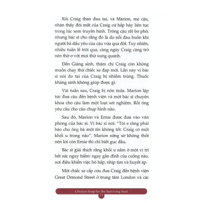 Chicken Soup For The Surviving Soul 18 - Vượt Lên Nghịch Cảnh - Bản Quyền