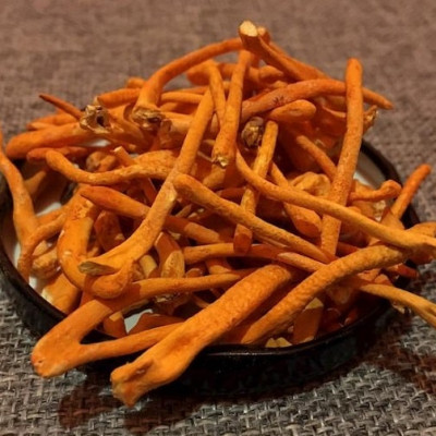 Đông trùng hạ thảo hữu cơ Bách An Khang sấy thăng hoa cao cấp 5g nuôi cấy Đà Lạt tốt cho sức khỏe