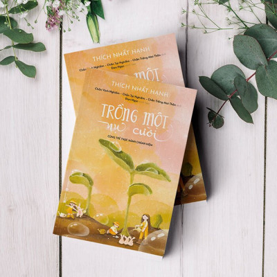 Trồng Một Nụ Cười - Cùng Trẻ Thực Hành Chánh Niệm - Thích Nhất Hạnh - (bìa mềm)