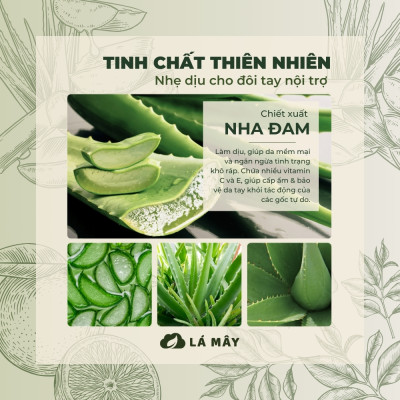 NƯỚC RỬA CHÉN BÁT (KHÔNG ĐẬM ĐẶC) TÍA TÔ & ANH ĐÀO LÁ MÂY 500 mL