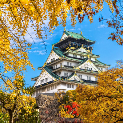 Bộ tranh xếp hình cao cấp 500 mảnh ghép – Lâu Đài Osaka, Nhật Bản (40x50cm)