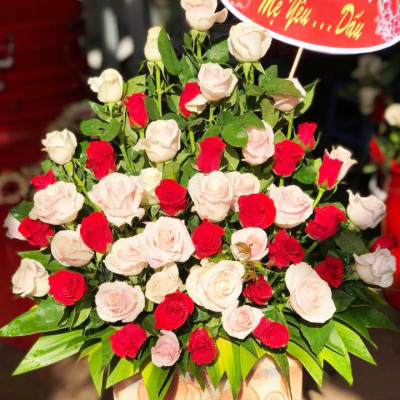 Hủ 1KG Bột Dinh Dưỡng Hoa Lâu Tàn dành cho Shop Hoa, Vựa Hoa hiệu Longlife SG nhập khẩu Israel, giúp bảo quản hoa cắm MUD tươi gấp 2 lần bình thường và Hạn chế thay hoa định kỳ