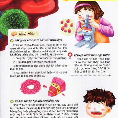 Thế Giới Những Điều Chưa Biết (Tập 5) - Cơ Thể Người