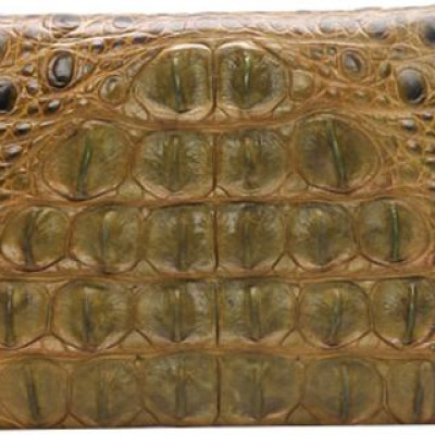 Ví Nữ Huy Hoàng HT3211 (10.5 x 19 cm) - Xanh Rêu