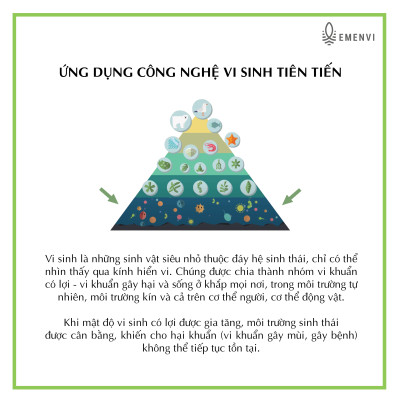 Dung dịch vi sinh lau nhà & phòng tắm 5l