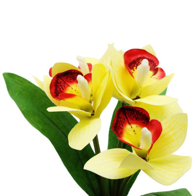 Chậu Cây Hoa Nhựa Trang Trí - WanLongDa 769-10