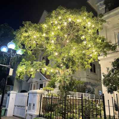 COMBO 5 Bóng đèn LED bulb tròn LEDGOES 3W