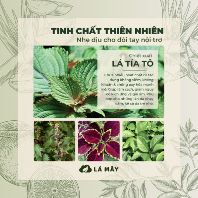 NƯỚC LAU ĐA NĂNG TÍA TÔ & CAM XANH LÁ MÂY 500mL