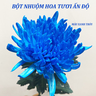 Thuốc Bột Nhuộm Hoa Tươi  màu thực phẩm Ấn Độ (Combo 3 hộp tùy màu) giúp đổi màu hoa cắt cành (1 hủ pha 12L nước màu)