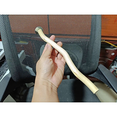 1 CÂY ĐẬU LŨA DÙNG CHO CÁC DÒNG CHIM, VẸT ĐẬU NHƯ COCKATEIL, LB, YẾN PHỤNG, YẾN HÓT, CHIM SẺ, MANH MANH, SẮC NHẬT