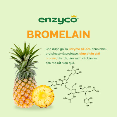 Combo Tẩy Rửa Sinh Học ENZYCO -  Nước Lau Sàn 2L, Nước Rửa Bát 465ml, Nước Giặt 2L