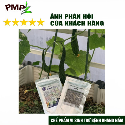 Chế phẩm vi sinh Killpa PMP trừ bệnh, kháng nấm cho rau sạch, hoa, cây cảnh, an toàn, hiệu quả