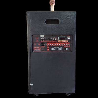 Loa Kéo Di Động Karaoke Bass 40 U.B.L LK-40-100 (800W) 4 Tấc - Màu Ngẫu Nhiên - Hàng Chính Hãng