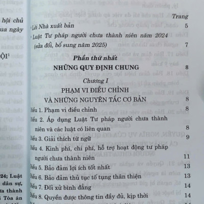 Luật Tư pháp người chưa thành niên năm 2024 (sửa đổi, bổ sung năm 2025)