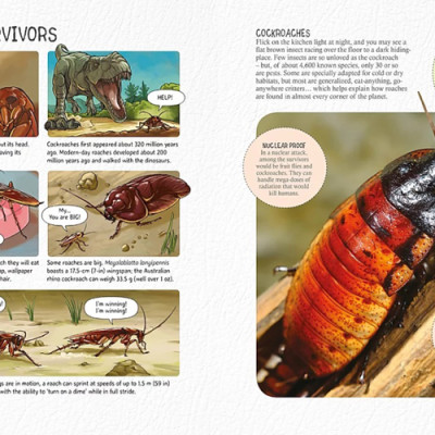 Sách tiếng Anh - Record Breaking Bugs : Amazing Insects