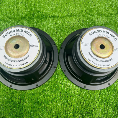 CỦ LOA BASS RỜI 20 TỪ LỚN HÀNG CHÍNH HÃNG HẢI TRIỀU COIL 38 TỪ 126 MÀN VÀNG (GIÁ 1 CÁI)