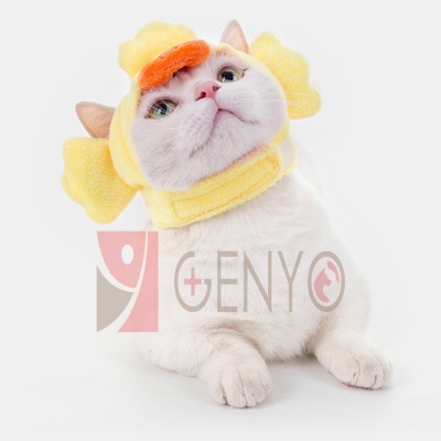Nón trùm đầu cho thú cưng - Genyo pet hat 003 ( một cái, màu và mẫu giao ngẫu nhiên )