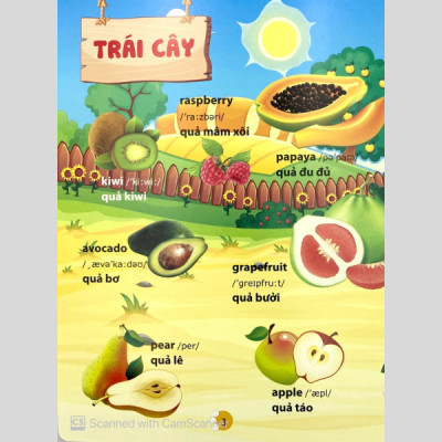 Từ Điển Phát Triển Ngôn Ngữ Bằng Hình Dành Cho Trẻ Mầm Non - Chủ Đề: Phương Tiện Giao Thông + Thành Viên Trong Gia Đình + Trái Cây + Rau Củ