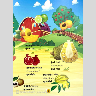 Từ Điển Phát Triển Ngôn Ngữ Bằng Hình Dành Cho Trẻ Mầm Non - Chủ Đề: Phương Tiện Giao Thông + Thành Viên Trong Gia Đình + Trái Cây + Rau Củ