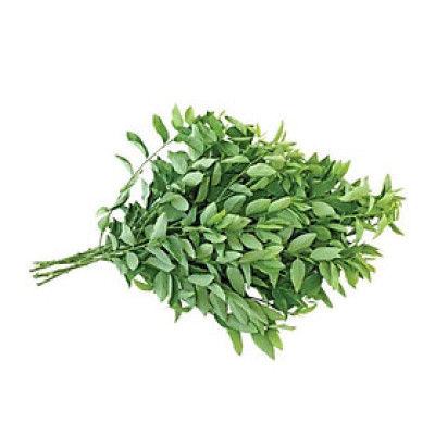 [Chỉ Giao HCM] - Rau ngót hữu cơ 250g